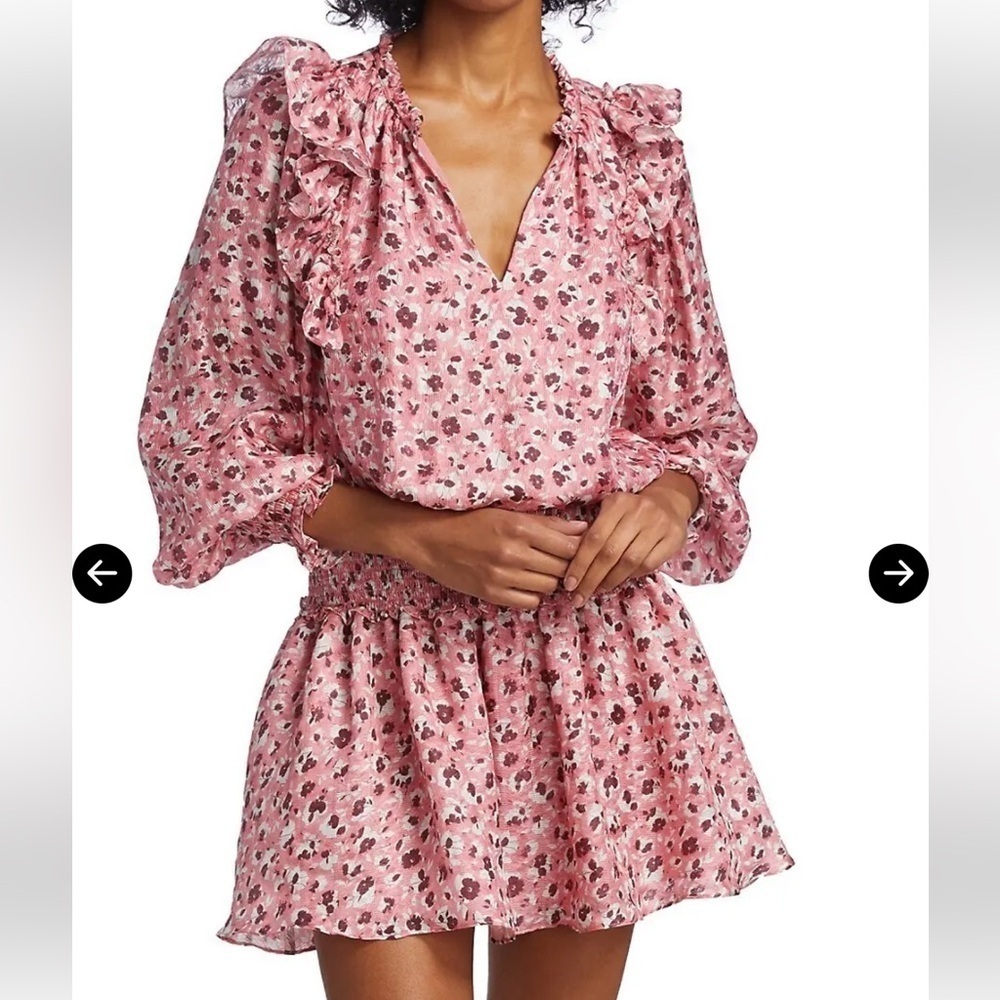 NWT in manu plastic Ramy Brook Penelope Silk Blend Ruffle Dress in Pink Size L - Picture 4 of 12